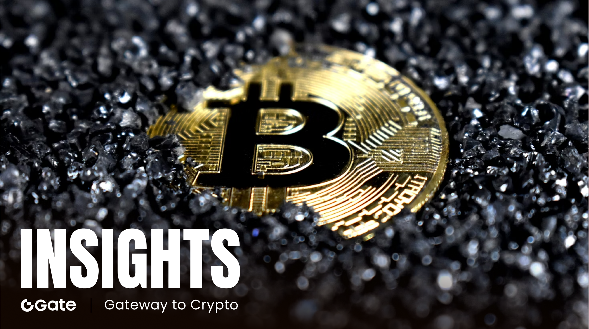 The 2026 Corporate Bitcoin Treasury Competition: Institutional Holdings Landscape from Strategy to SpaceX